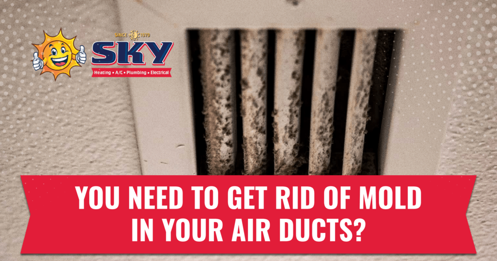 You Need To Get Rid Of Mold In Your Air Ducts